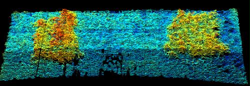 s1903291424297632086.jpg