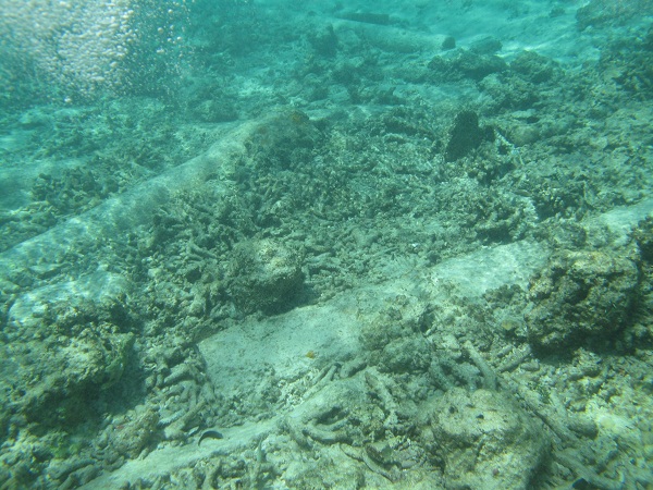 20170627144844_3870.jpg